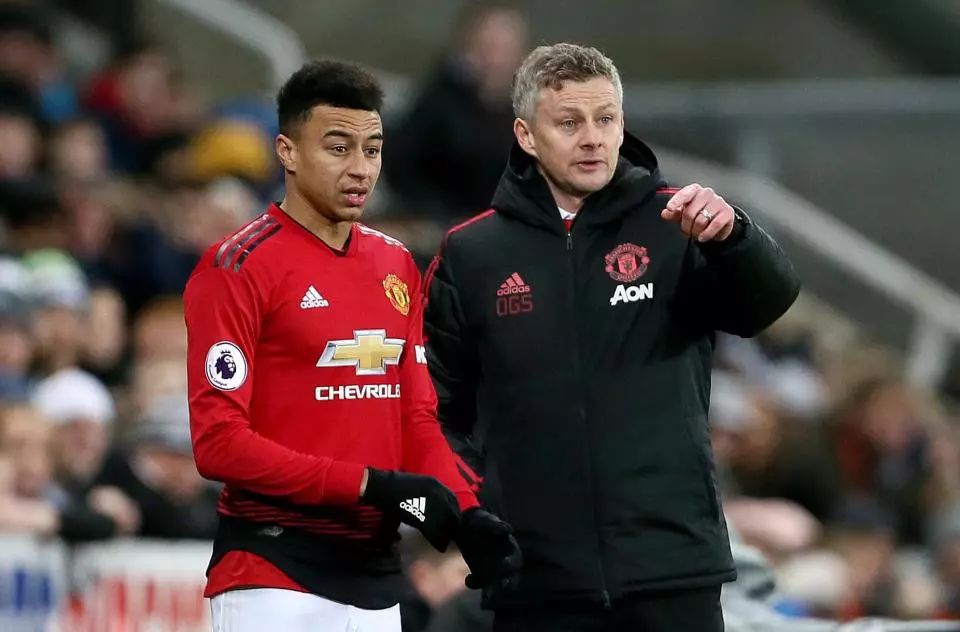 添了精彩的 添了精彩的